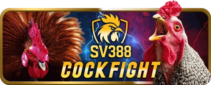 Bảo mật thông tin V9BET